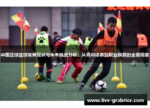 中国足球篮球发展现状与未来挑战分析：从青训体系到职业联赛的全面观察